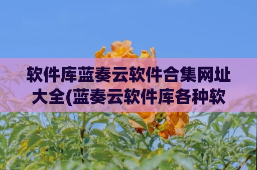 软件库蓝奏云软件合集网址大全(蓝奏云软件库各种软件)