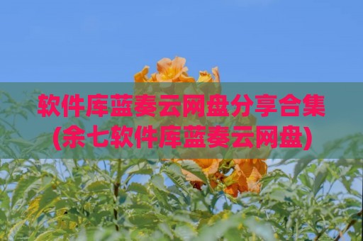 软件库蓝奏云网盘分享合集(余七软件库蓝奏云网盘)