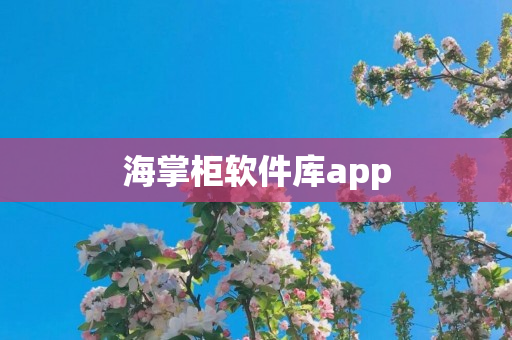 海掌柜软件库app